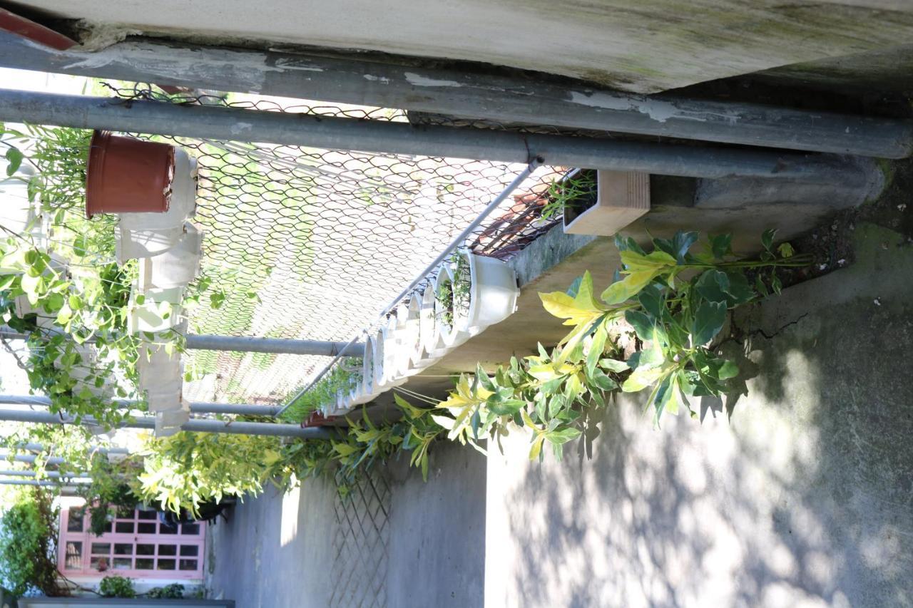 Green Garden House Hoi An Exterior foto